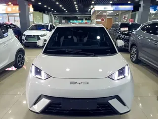 BYD Seagull 2023 купить из Китая, цена 1 370 000 ₽ — Suifenhe Auto