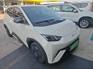 BYD Seagull 2025 купить из Китая, цена 1 390 000 ₽ — Suifenhe Auto