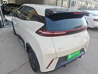BYD Seagull 2025 купить из Китая, цена 1 390 000 ₽ — Suifenhe Auto