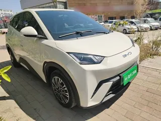 BYD Seagull 2024 купить из Китая, цена 1 280 000 ₽ — Suifenhe Auto