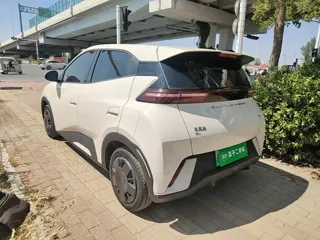 BYD Seagull 2024 купить из Китая, цена 1 280 000 ₽ — Suifenhe Auto