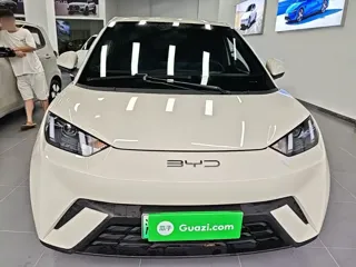 BYD Seagull 2024 купить из Китая, цена 1 321 000 ₽ — Suifenhe Auto