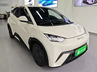 BYD Seagull 2024 купить из Китая, цена 1 321 000 ₽ — Suifenhe Auto