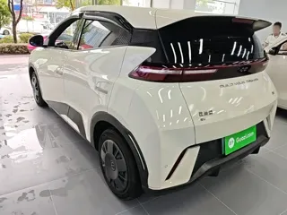 BYD Seagull 2024 купить из Китая, цена 1 321 000 ₽ — Suifenhe Auto