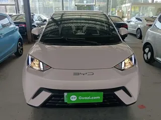 BYD Seagull 2024 купить из Китая, цена 1 209 000 ₽ — Suifenhe Auto