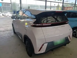 BYD Seagull 2024 купить из Китая, цена 1 209 000 ₽ — Suifenhe Auto