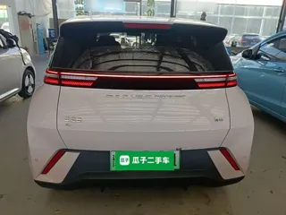 BYD Seagull 2024 купить из Китая, цена 1 209 000 ₽ — Suifenhe Auto