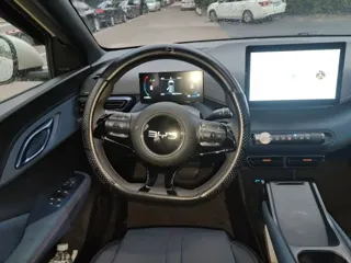 BYD Seagull 2025 купить из Китая, цена 1 350 000 ₽ — Suifenhe Auto