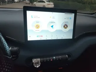 BYD Seagull 2025 купить из Китая, цена 1 350 000 ₽ — Suifenhe Auto