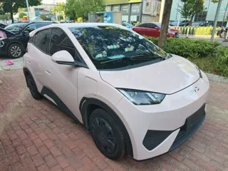 BYD Seagull 2025 купить из Китая, цена 1 349 000 ₽ — Suifenhe Auto