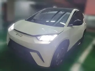 BYD Seagull 2024 купить из Китая, цена 1 309 000 ₽ — Suifenhe Auto