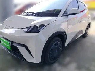 BYD Seagull 2024 купить из Китая, цена 1 381 000 ₽ — Suifenhe Auto
