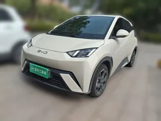 BYD Seagull 2024 купить из Китая, цена 1 418 000 ₽ — Suifenhe Auto