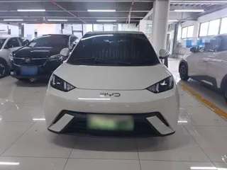 BYD Seagull 2024 купить из Китая, цена 1 270 000 ₽ — Suifenhe Auto