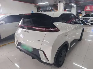 BYD Seagull 2024 купить из Китая, цена 1 270 000 ₽ — Suifenhe Auto
