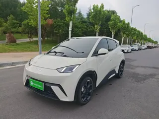 BYD Seagull 2024 купить из Китая, цена 1 379 000 ₽ — Suifenhe Auto