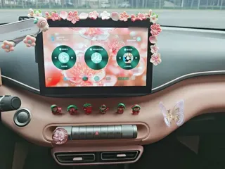 BYD Seagull 2024 купить из Китая, цена 1 379 000 ₽ — Suifenhe Auto
