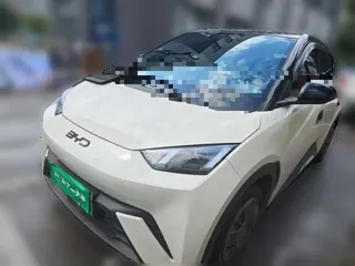 BYD Seagull 2025 купить из Китая, цена 1 354 000 ₽ — Suifenhe Auto