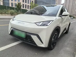 BYD Seagull 2024 купить из Китая, цена 1 485 000 ₽ — Suifenhe Auto