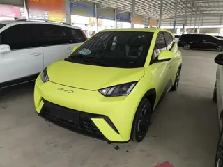 BYD Seagull 2024 купить из Китая, цена 1 299 000 ₽ — Suifenhe Auto