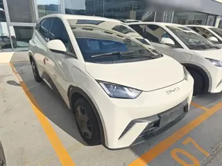 BYD Seagull 2024 купить из Китая, цена 1 238 000 ₽ — Suifenhe Auto