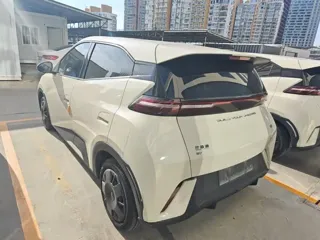 BYD Seagull 2024 купить из Китая, цена 1 238 000 ₽ — Suifenhe Auto