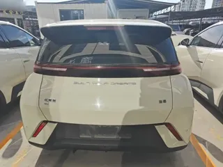 BYD Seagull 2024 купить из Китая, цена 1 238 000 ₽ — Suifenhe Auto