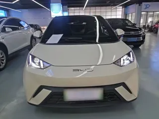 BYD Seagull 2024 купить из Китая, цена 1 338 000 ₽ — Suifenhe Auto