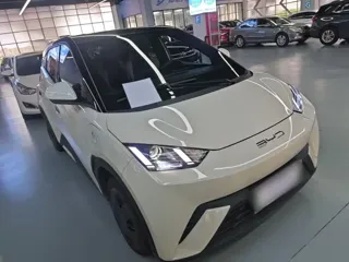 BYD Seagull 2024 купить из Китая, цена 1 338 000 ₽ — Suifenhe Auto
