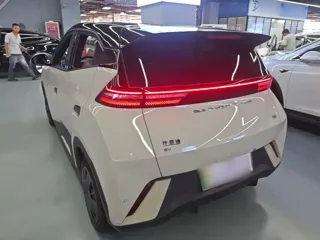 BYD Seagull 2024 купить из Китая, цена 1 338 000 ₽ — Suifenhe Auto