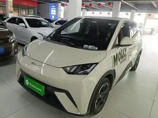BYD Seagull 2023 купить из Китая, цена 1 221 000 ₽ — Suifenhe Auto