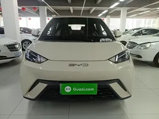 BYD Seagull 2023 купить из Китая, цена 1 221 000 ₽ — Suifenhe Auto