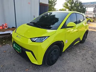 BYD Seagull 2024 купить из Китая, цена 1 249 000 ₽ — Suifenhe Auto