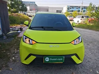 BYD Seagull 2024 купить из Китая, цена 1 249 000 ₽ — Suifenhe Auto