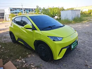 BYD Seagull 2024 купить из Китая, цена 1 249 000 ₽ — Suifenhe Auto