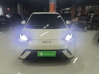 BYD Seagull 2024 купить из Китая, цена 1 261 000 ₽ — Suifenhe Auto