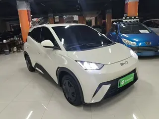 BYD Seagull 2024 купить из Китая, цена 1 261 000 ₽ — Suifenhe Auto