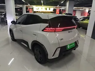 BYD Seagull 2024 купить из Китая, цена 1 261 000 ₽ — Suifenhe Auto