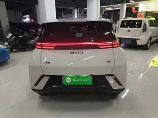 BYD Seagull 2024 купить из Китая, цена 1 261 000 ₽ — Suifenhe Auto