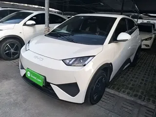 BYD Seagull 2025 купить из Китая, цена 1 379 000 ₽ — Suifenhe Auto