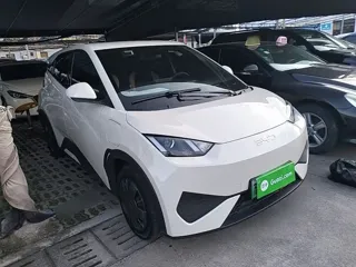 BYD Seagull 2025 купить из Китая, цена 1 379 000 ₽ — Suifenhe Auto