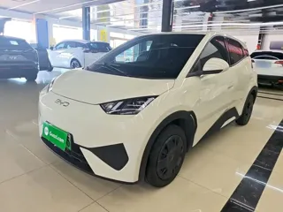 BYD Seagull 2025 купить из Китая, цена 1 367 000 ₽ — Suifenhe Auto