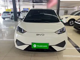 BYD Seagull 2025 купить из Китая, цена 1 367 000 ₽ — Suifenhe Auto