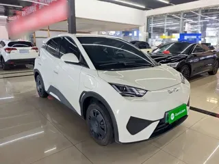 BYD Seagull 2025 купить из Китая, цена 1 367 000 ₽ — Suifenhe Auto