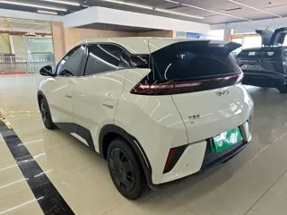 BYD Seagull 2025 купить из Китая, цена 1 367 000 ₽ — Suifenhe Auto