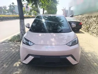 BYD Seagull 2024 купить из Китая, цена 1 261 000 ₽ — Suifenhe Auto