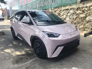 BYD Seagull 2024 купить из Китая, цена 1 261 000 ₽ — Suifenhe Auto