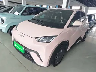 BYD Seagull 2024 купить из Китая, цена 1 240 000 ₽ — Suifenhe Auto