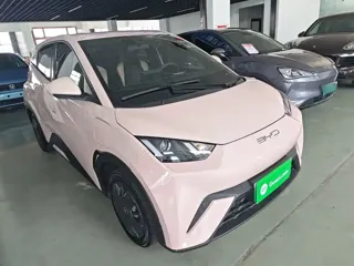 BYD Seagull 2024 купить из Китая, цена 1 240 000 ₽ — Suifenhe Auto