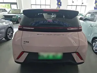BYD Seagull 2024 купить из Китая, цена 1 240 000 ₽ — Suifenhe Auto